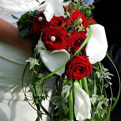 Brautstrauß abfließend, rote Rosen, weiße Calla, grün