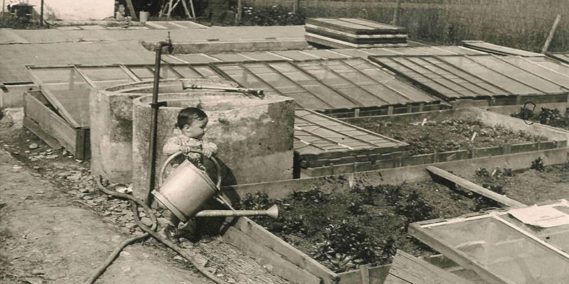 Historie-Gaertnerei-1956