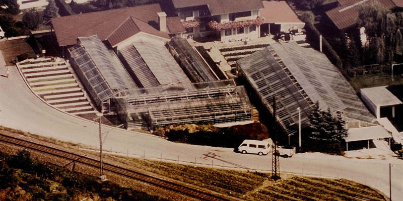 Historie-Gaertnerei-1986